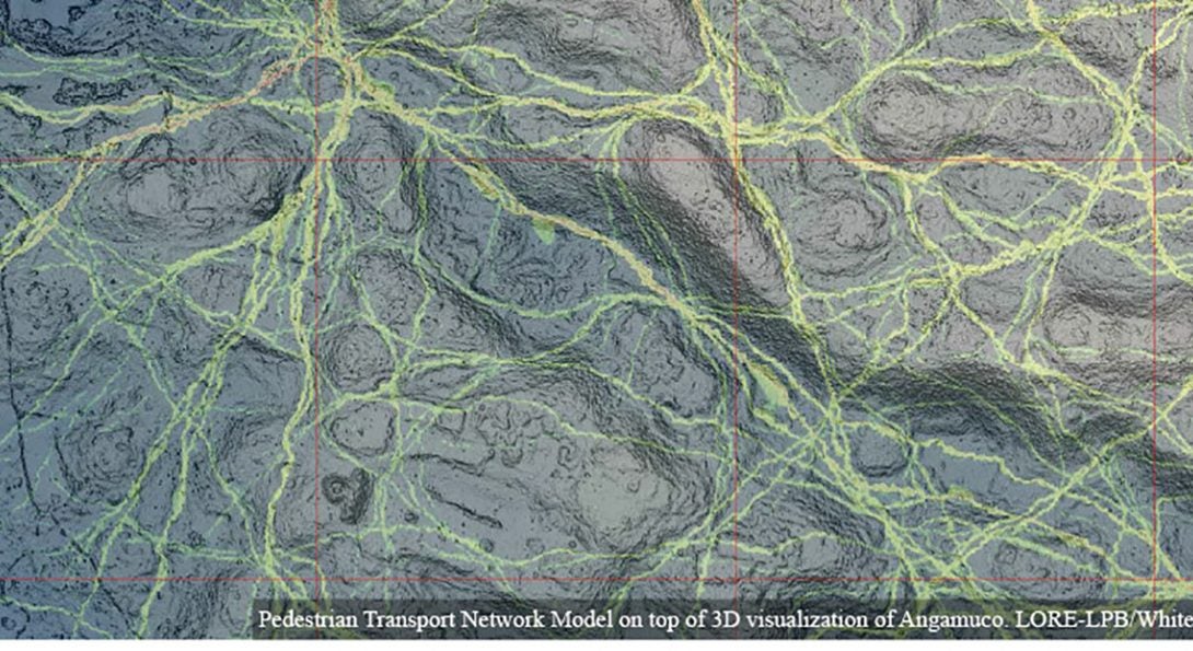 Pedestrian Transport Network