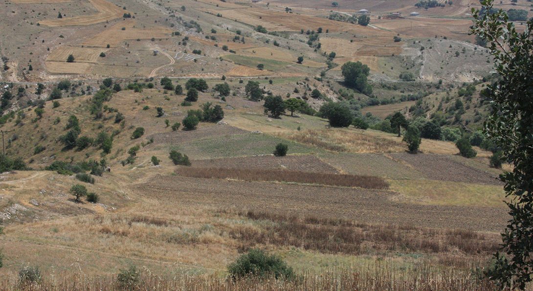 The landscape of Akkaya Mevkii near Barakmuslu Village, 20 July, 2018 (Ömür Harmanşah).