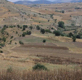 The landscape of Akkaya Mevkii near Barakmuslu Village, 20 July, 2018 (Ömür Harmanşah).
                  