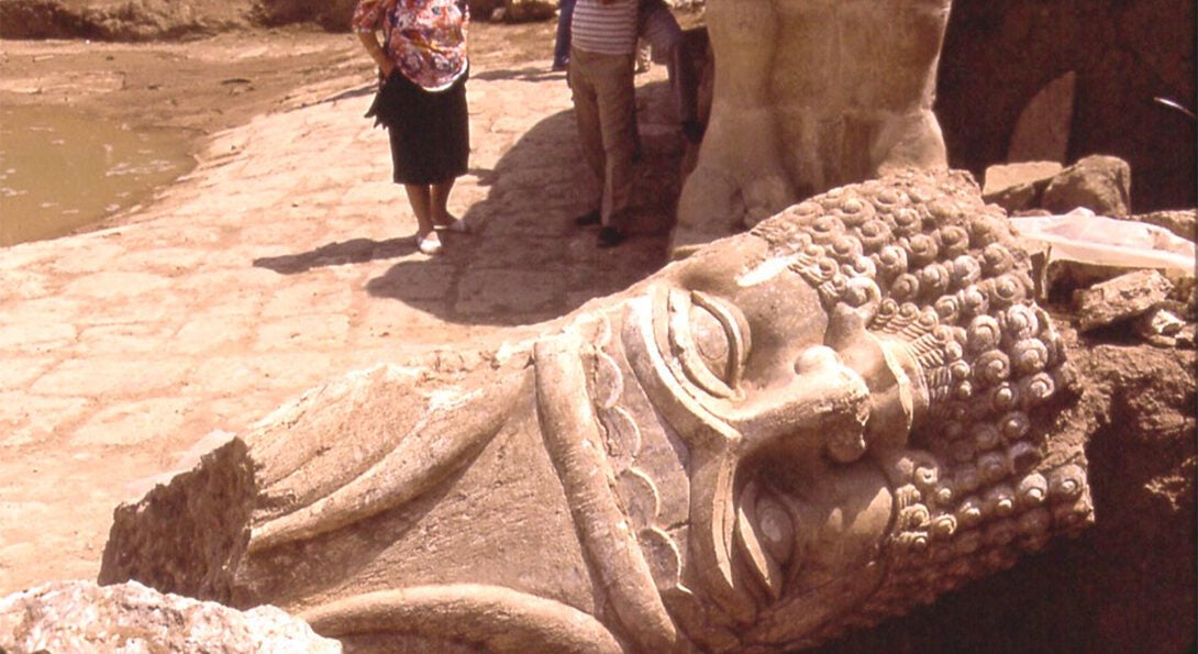 Nineveh, Nebi Yunus. Head of Assyrian gate sculpure (lamassu) during the Iraqi Excavations (May 1990).